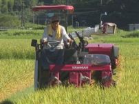 待ちに待った新米の季節…三重県紀宝町で早場米の稲刈り 県開発の品種『なついろ』で心配された猛暑の影響なし