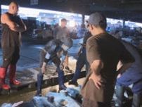 廃棄予定の魚を積めるだけ買い取った業者も…岐阜市中央卸売市場の停電で小売店に影響「桃がまだ届いておらず」
