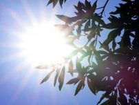 八王子37.9℃…今年の都内最高気温を更新　29日も体温超えの予想　外出は短時間、日傘や帽子を使って