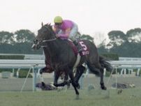 １９９９年の京都記念勝ち馬エモシオン死す…３０歳　名伯楽・小林稔調教師最後の重賞勝ち馬