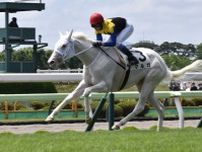 武豊騎乗でレコードＶの白毛馬マルガ　半姉ソダシに続くＧⅠ級の飛躍は見込めるのか？　可能性を探る