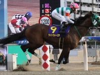 【盛岡競馬・マーキュリーＣ】１０年ぶり地方馬が奪還へ　ライトウォーリアが年度代表馬の意地を見せる！