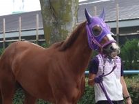 【今週の注目新馬】近親にダート２冠ナチュラルライズ！ミヤエスケープが横山武史の手綱で初陣「初戦から好レースに」