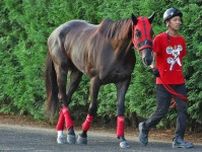 【東海Ｓ・特捜班のガチ】充実一途サンライズホークが中央初戴冠へ！「競走馬としてのレベルが上がっています」