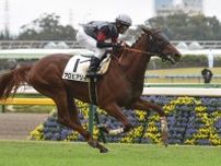 仏ＧⅡ参戦のアロヒアリイが国内最終追い切りで好時計　田中博康調教師「現地でしっかり調整できれば」