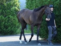 【今週の注目新馬】鞍上武豊のリントゥラウルが日曜中京に登場！秋山真一郎調教師「芝の長いところは合いそう」