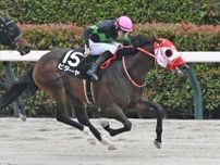 【東海Ｓ】中京ダ千四で毎年好走するあの系統を狙い撃て／坂上明大の重賞血統査定
