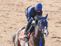 【関屋記念】開催日程変更の今年は高速馬場向きの北米血統を狙え／坂上明大の重賞血統査定