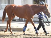 アロヒアリイは仏ＧⅡギヨームドルナノ賞へ順調　田中博康調教師「あとは現地でしっかりやりたい」