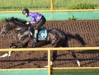 【先出し！注目新馬・札幌】２週目は芝で２鞍　オープン馬の弟＆妹など楽しみな馬たちがスタンバイ