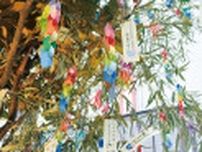 七夕info〜ユニークな催し一挙紹介〜 短冊に願い込め〈藤沢市〉