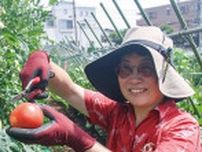 野菜づくりは「心の栄養」 25年目の山下農園で〈横浜市緑区〉