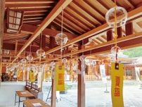 夏音響く 亀ヶ池八幡宮〈相模原市中央区〉