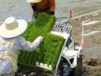 "コメ騒動"を招いた｢ノウスイ真理教｣の低レベル