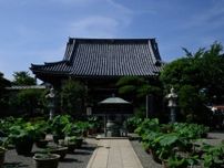 需要増の｢人形供養｣3000体が並ぶ供養祭に潜入