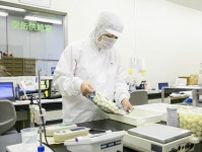 農家激減｢うずら卵｣"プロテイン化"で生き残りへ
