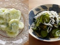 猛暑乗り切る強い味方｢きゅうり｣おいしく食す技