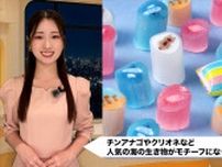 水族館キャンディ？がヒットの予感？魔法のように味変も