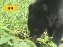 【クマ出没情報】県道を横断するクマ　磐梯町磐梯　15日午前5時半前　福島