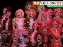 『ネコよりネコらしく』！？観客動員数1100万人以上「劇団四季キャッツ」の魅力に迫る