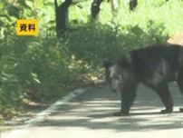 住宅街でクマのような動物（体長約１メートル）目撃　福島市八島田　福島