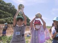 小学生が野菜の観察・収穫を体験〜食と農の大切さ学ぶ　福島