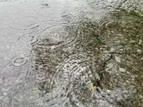 【大雨情報】関東甲信地方では16日夜遅くにかけ大雨による土砂災害に警戒・注意　24時間降水量は？ 波の予想も　気象庁