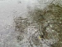 【全国天気】東北地方北部が19日に梅雨明け　青森・秋田・盛岡にどのくらい梅雨期間に雨が降ったか　気象庁発表
