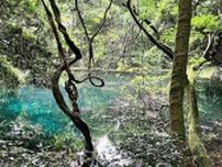 【涼】猛暑も忘れる、すずしく神秘的な風景が広がる「丸池様」（山形）