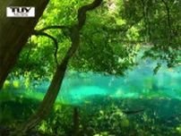 まさに暑さも忘れる別世界　一面エメラルドグリーンの絶景スポット 