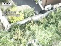 麻酔銃2発当たるも姿見えなくなり...山形市の住宅街などで目撃のクマ　未だ見つからず警戒続く（山形）