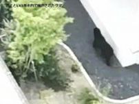 【速報】山形市内にクマ　県道を全面通行止めにして警察が対応進める