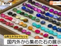 宝石、化石、隕石…キラキラした貴重な石などが世界中から大集合！期間限定イベント「ミネラルマルシェ」にカメラが潜入！（山形）