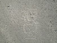 【速報】山形大学　ナスカの地上絵を新たに248点発見　小道沿いに点在、その意味は「物語性」や「メッセージ性」か
