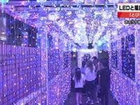 3万球のLEDライトと600個の風鈴の音色が織りなす涼しげな空間　愛知県飛島村のイルミネーション