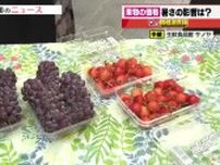 前週に50円値下がりしたサクランボの仕入れ値は動きなし　デラウェア出荷量も安定し価格変わらず