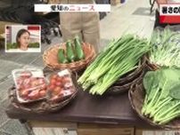 猛暑の影響で「野菜の価格高騰」　ホウレンソウの仕入れ価格＋50円　ニラの仕入れ価格も上昇中