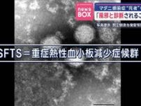 マダニ感染症“死者”相次ぐ　「風邪と診断されることも」