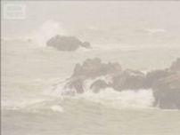 台風5号 関東に接近中　強風域の千葉・銚子市は