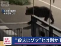 “殺人ヒグマ”とは別か　1頭駆除　北海道福島町