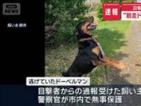 【速報】目撃者からの通報で“脱走ドーベルマン”保護