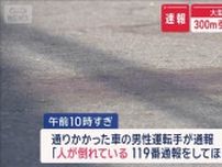 大型トラックが横断歩道の男性ひき逃走　300m引きずられ死亡　大阪
