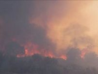 熱波で乾燥　地中海の島国キプロスで山火事　2人死亡　原因は放火か