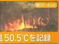 トルコで過去最高の気温50.5℃　火災旋風も
