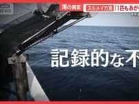 海の異変に漁師悲鳴　サクランボ農家は断念　山火事で二重被災　参院選に何を思う？