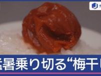 猛暑乗り切る！名脇役「梅干しグルメ」知られざる魅力