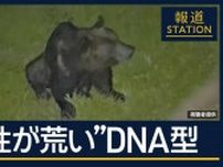 OSO18より「危険性は上」少なくとも2頭か…ヒグマ出没相次ぐワケは？警戒いつまで