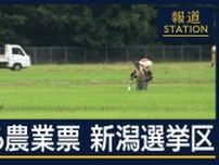 コメどころ…揺れる農業票 参院選・新潟選挙区