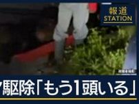 体長2m超ヒグマ駆除　新聞配達の男性襲った個体か調査へ　北海道・福島町