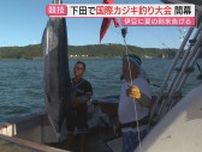 夏の到来告げる国内最大規模のカジキ釣り大会 全国から120チーム参加（静岡・下田市）